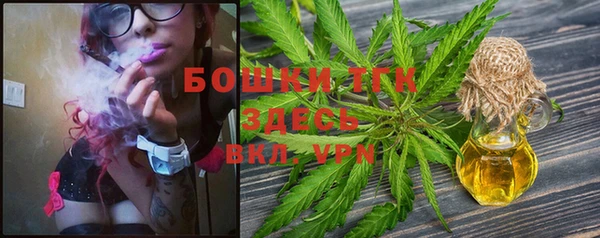 spice Горняк