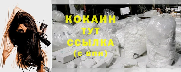 mdpv Горно-Алтайск